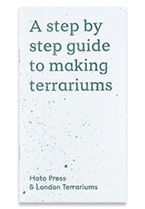 A step by step guide to making terrarium · Emma Sibley